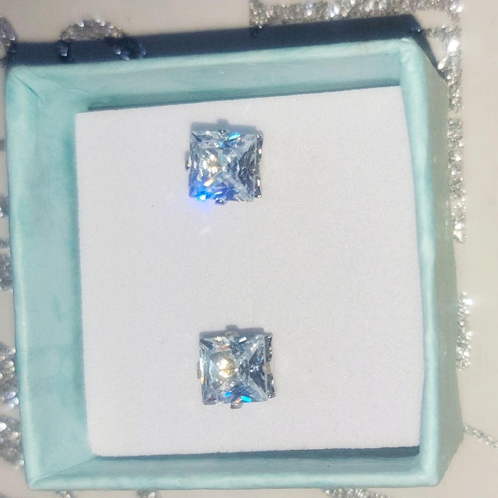 Elegant Silver Stud Earrings